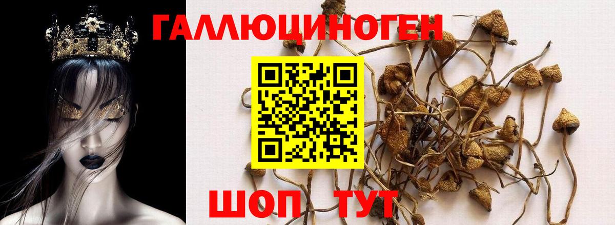 Галлюциногенные грибы ЛСД  Псилоцибиновые грибы MAGIC MUSHROOMS  Тосно  Вход с VPN 
